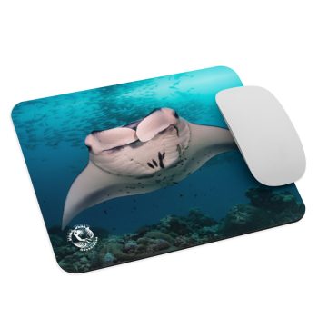 Diver Dena's Adventure Shop-Manta Ray Mouse Pad