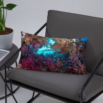 Diver Dena's Adventure Shop-Spectacular Reef Accent Pillow