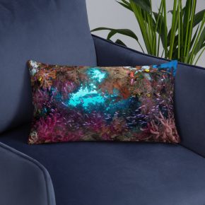 Diver Dena's Adventure Shop-Spectacular Reef Accent Pillow