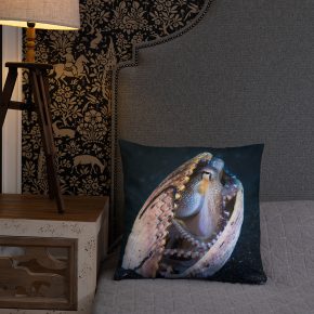 Diver Dena's Adventure Shop- Octopus Accent/Throw Pillow 18 x 18