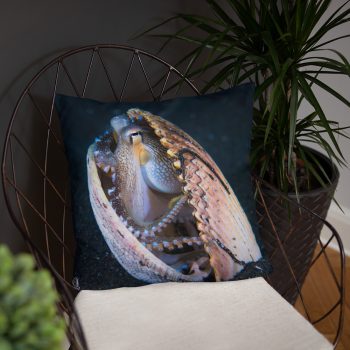 Diver Dena's Adventure Shop- Octopus Accent/Throw Pillow 18 x 18