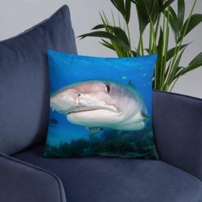 Diver Dena's Adventure Shop-Smile! Shark Accent/Throw Pillow