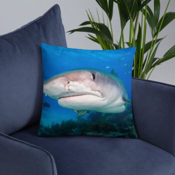 Diver Dena's Adventure Shop-Smile! Shark Accent/Throw Pillow
