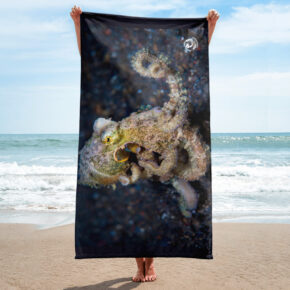 Diver Dena's Adventure Shop-Coconut Octopus Beach/Shower Towel