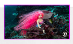Diver Dena's Adventure Shop-Mermaid Barbie Beach Towel